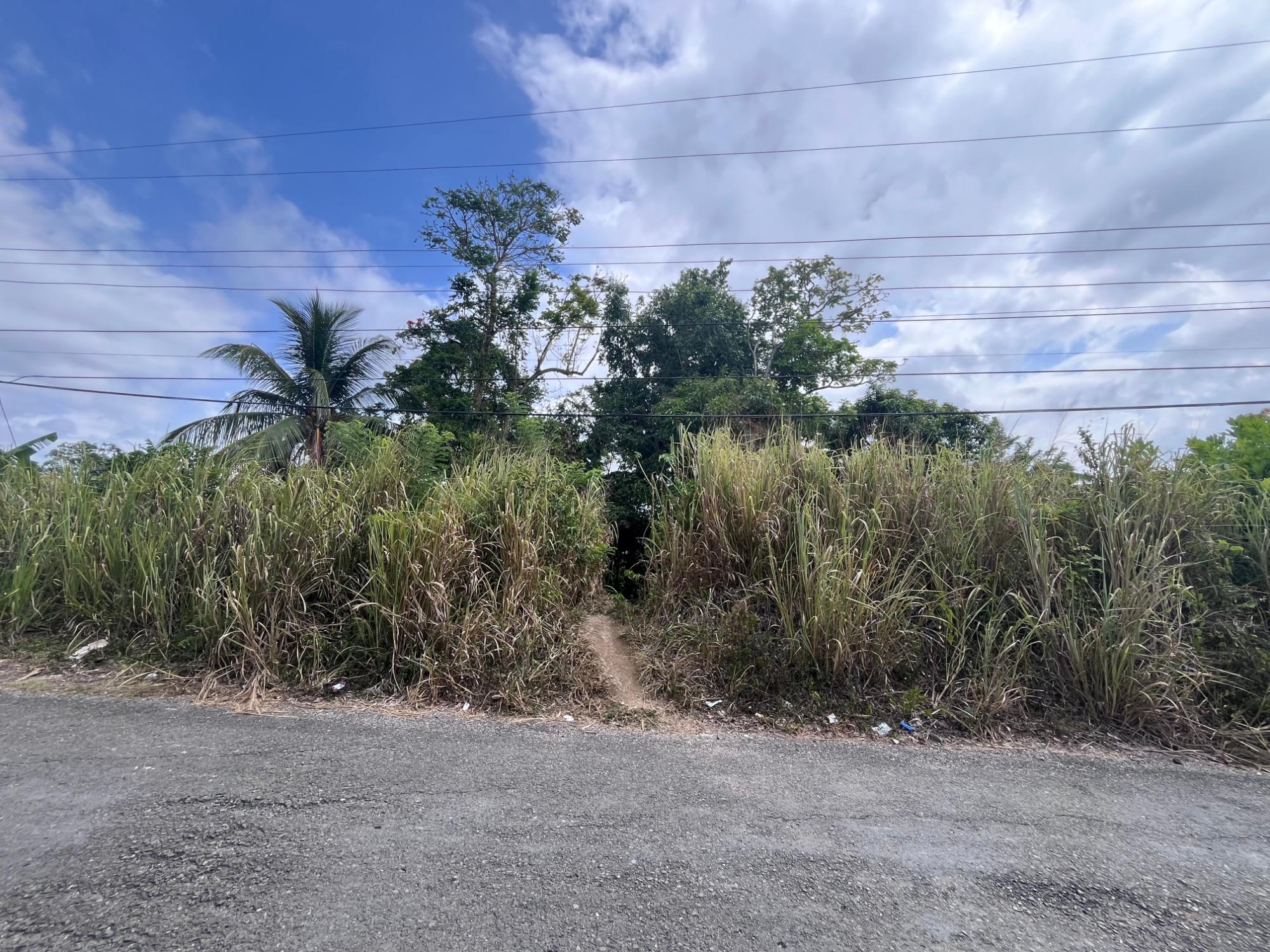 Farm/Agricultural Lot For Sale in Nutfield Islington St Mar , St. Mary