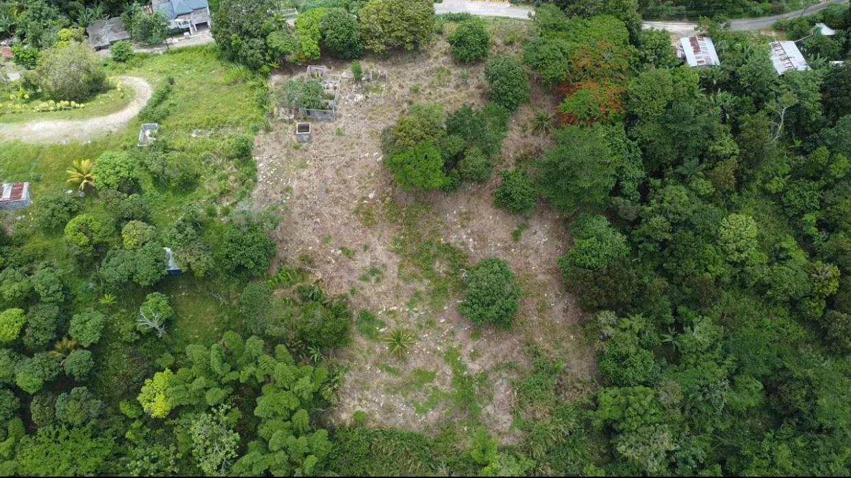 GALBRAITH REALTY & INVESTMENT Residential Lot for Sale JMD 35000000 Albert Town in Trelawny