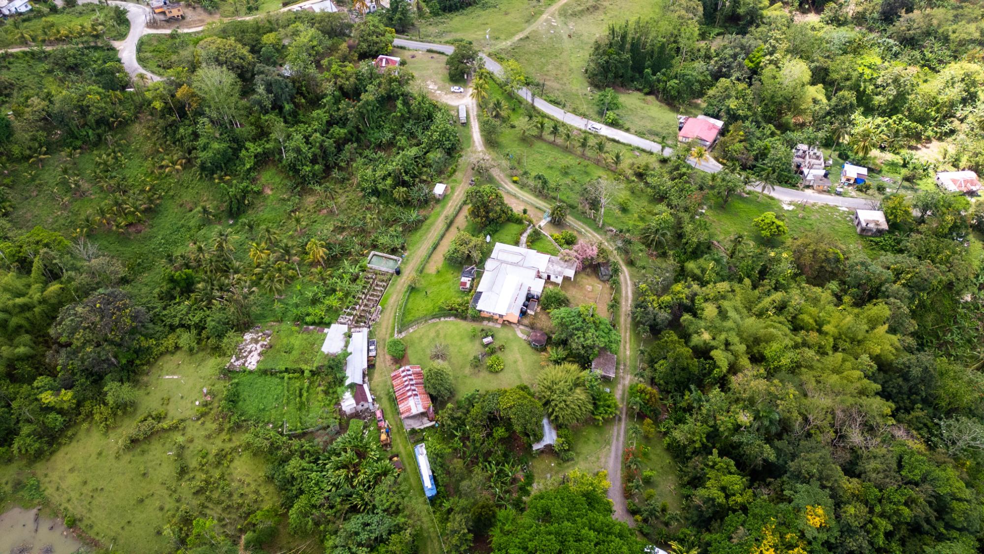 Real Estate Jamaica