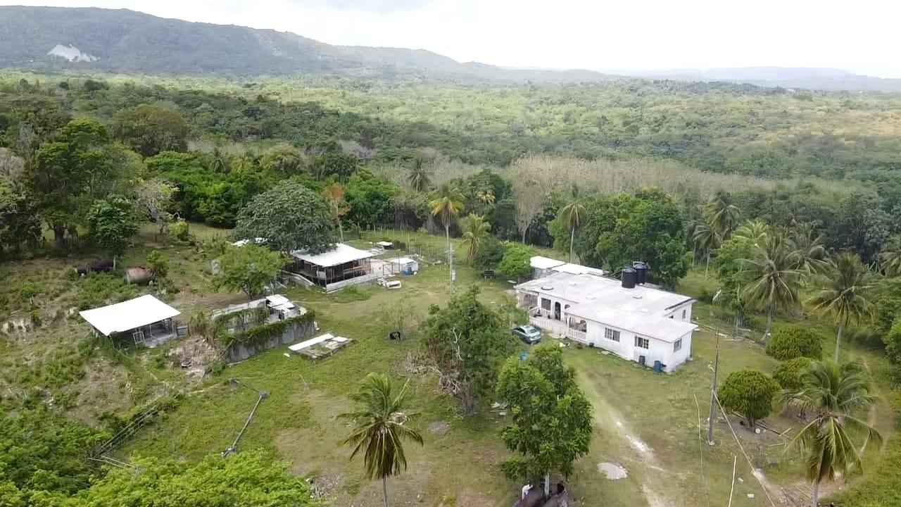 Real Estate Jamaica