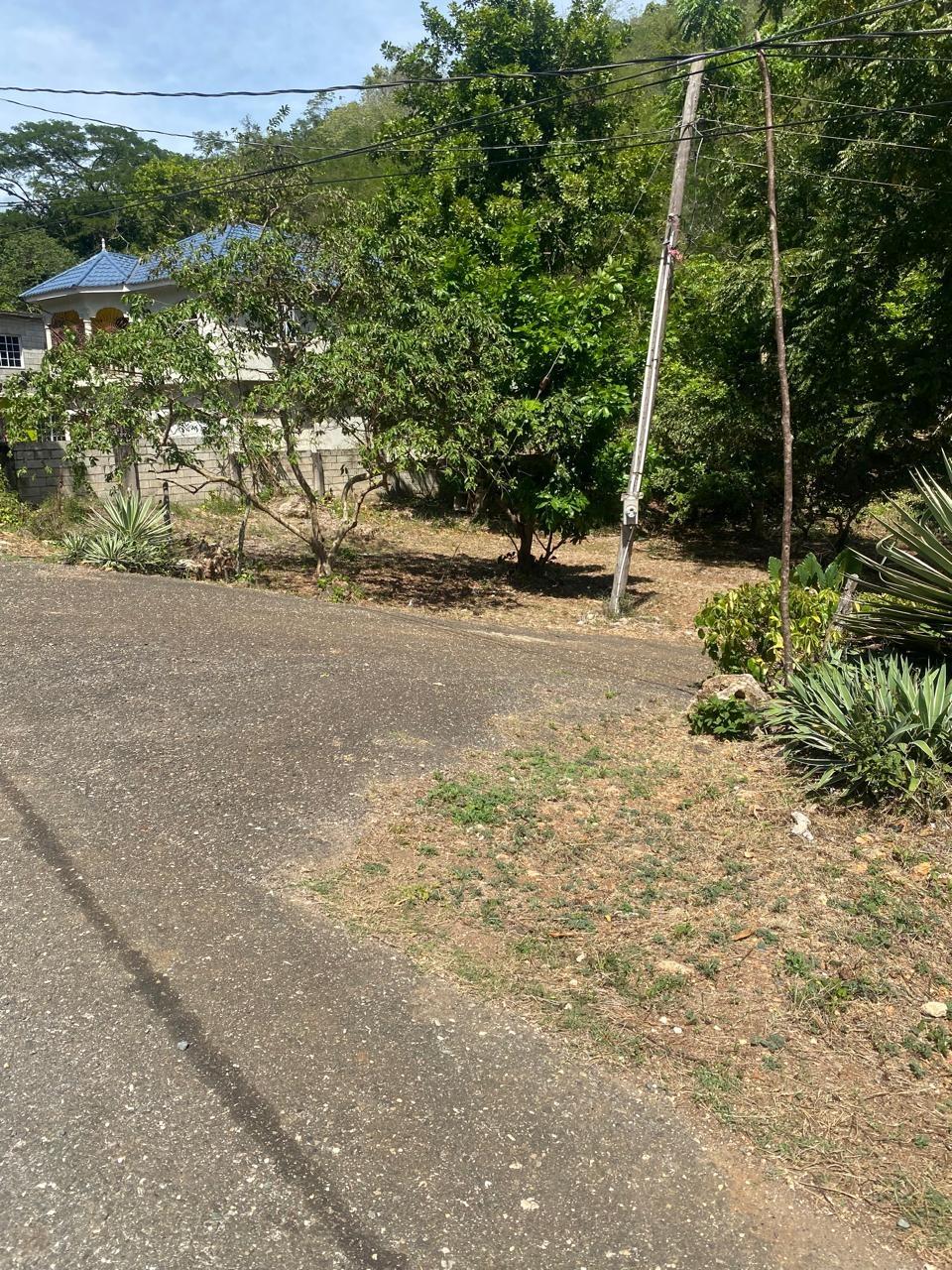 Real Estate Jamaica
