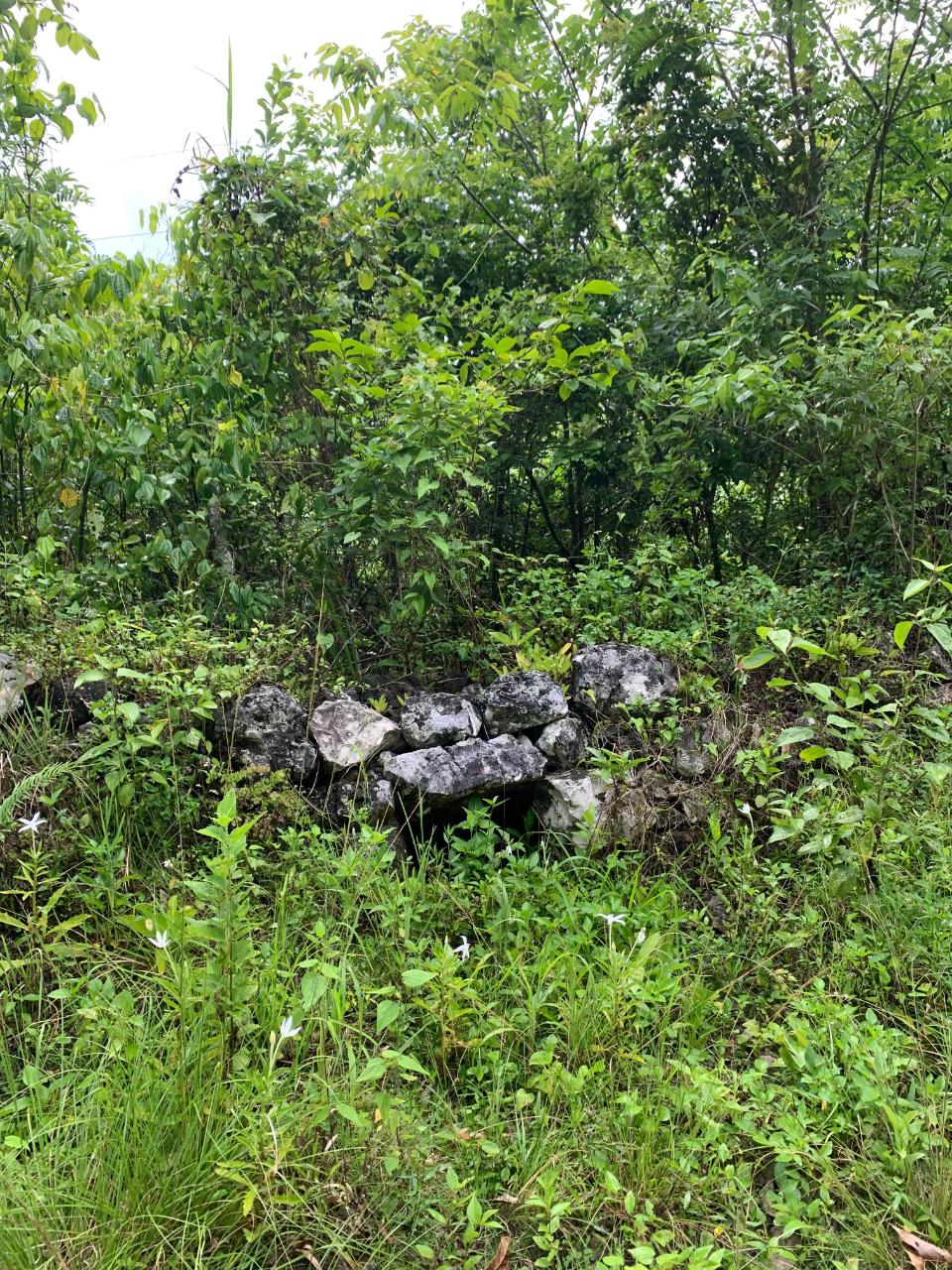 Real Estate Jamaica