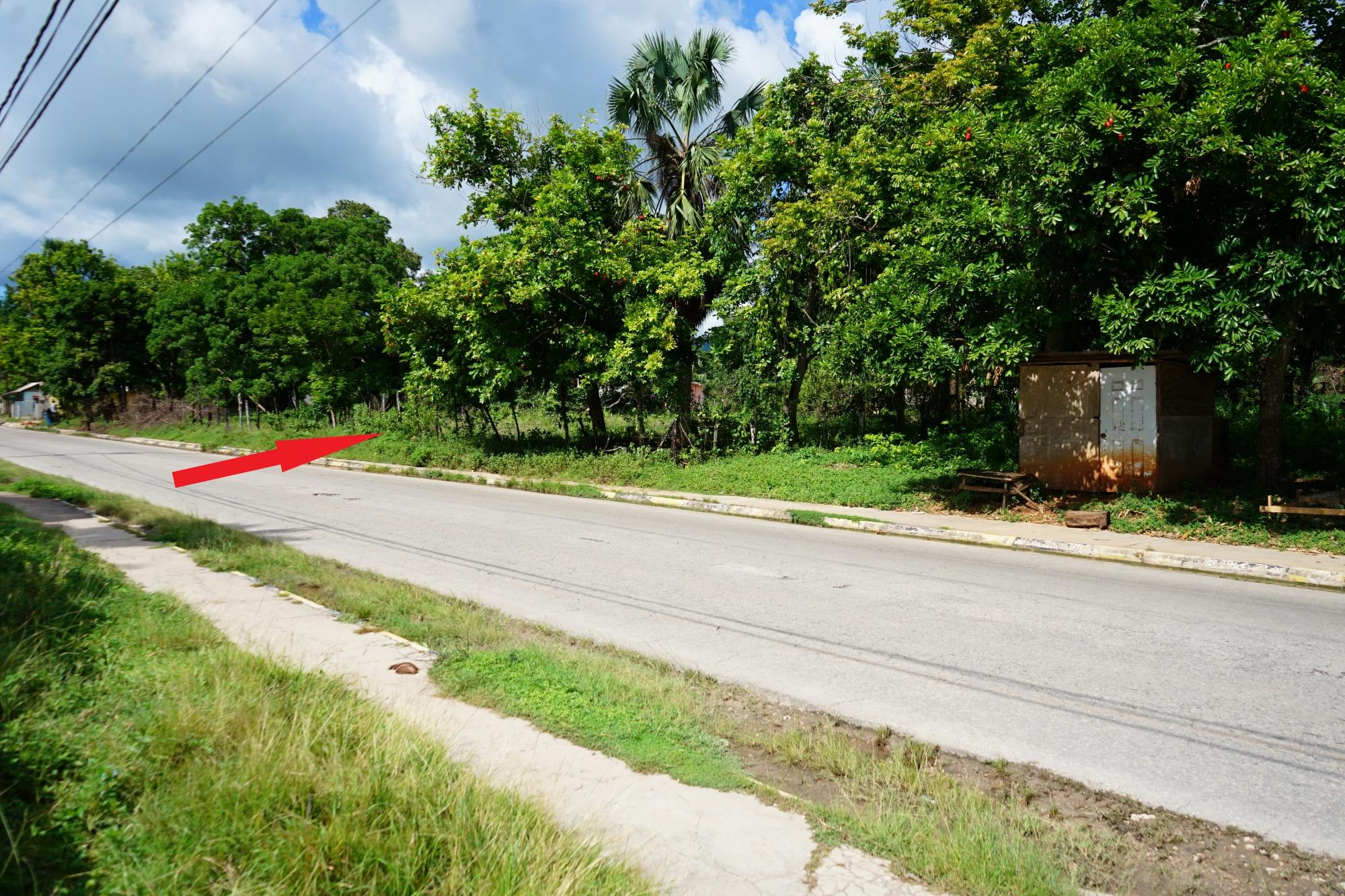 Real Estate Jamaica