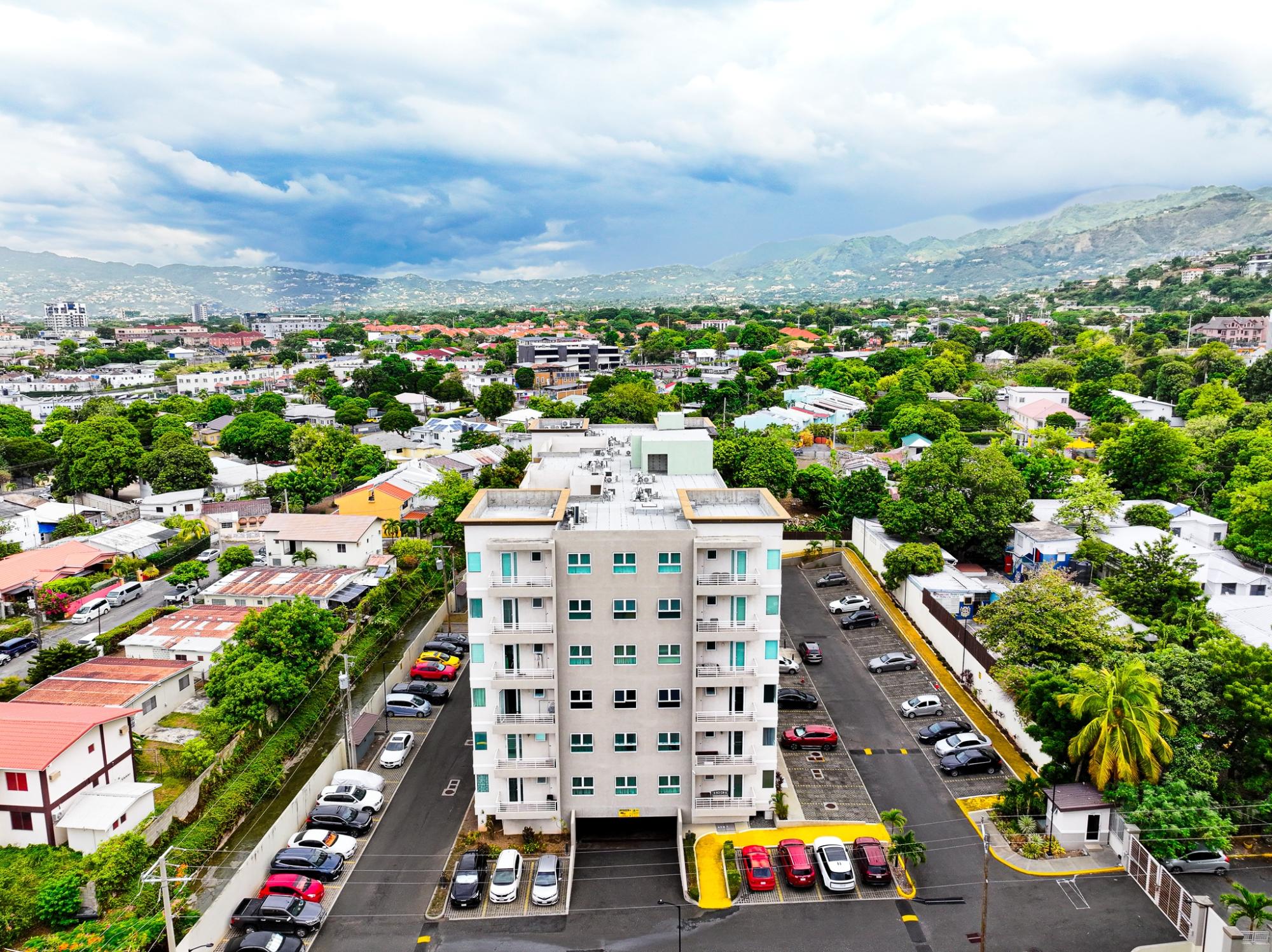 Apartment for Rent Kingston 6