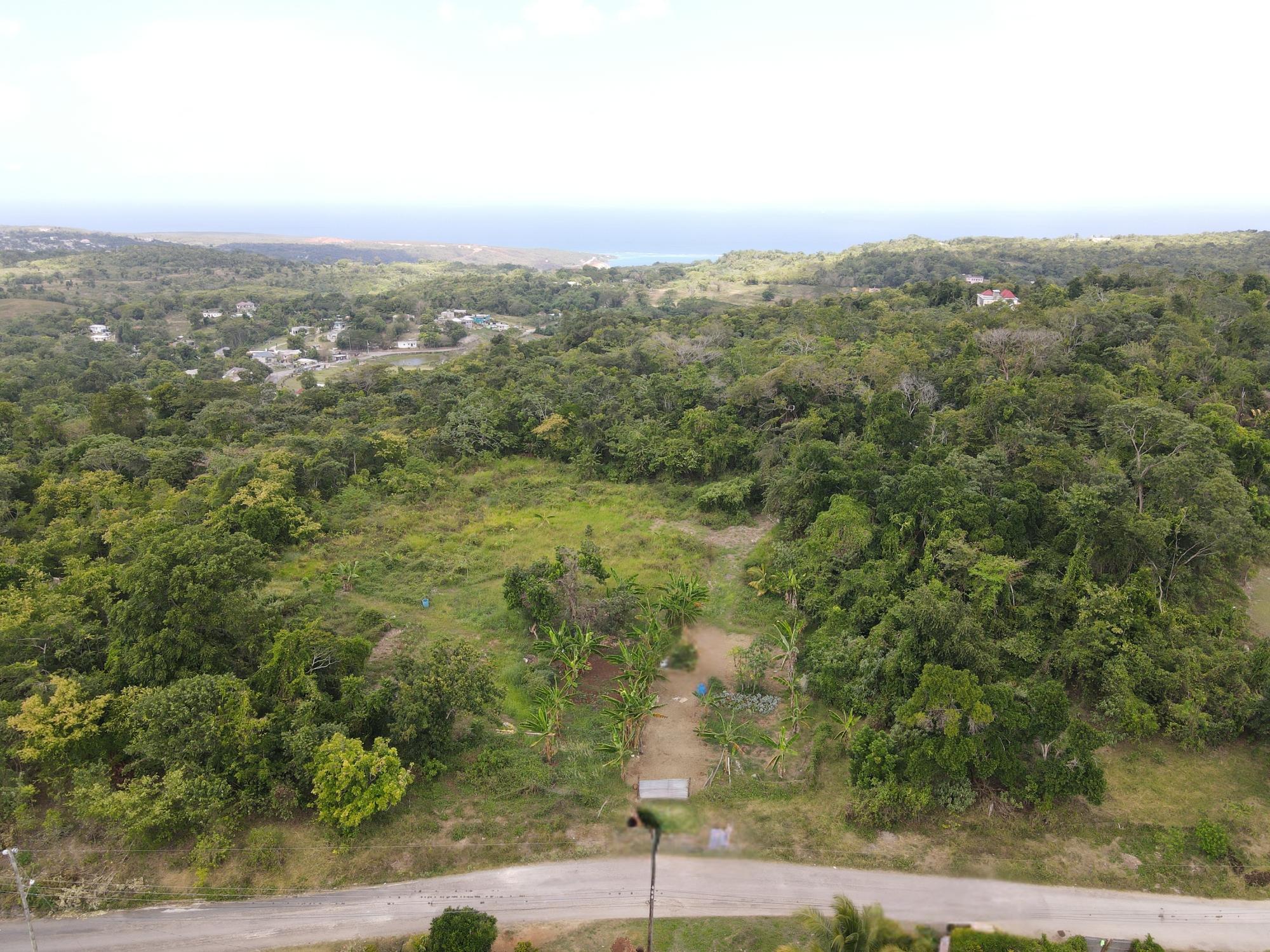Real Estate Jamaica