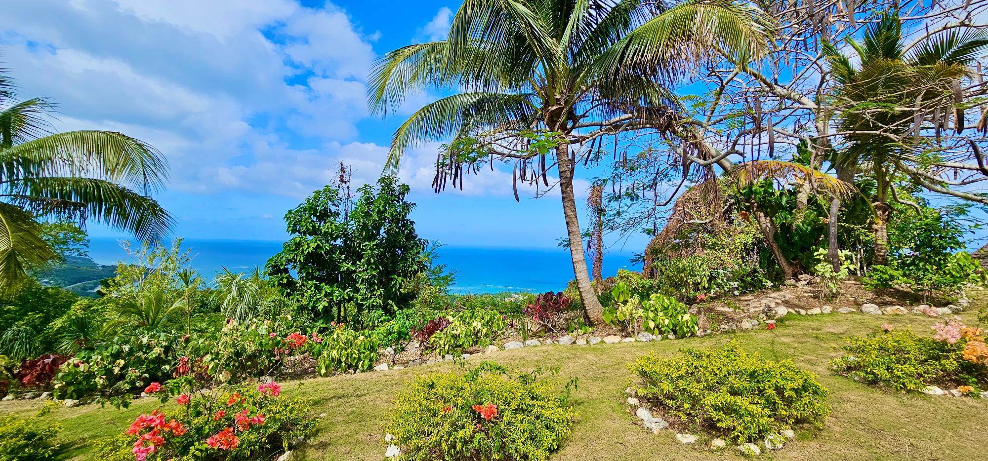 Real Estate Jamaica