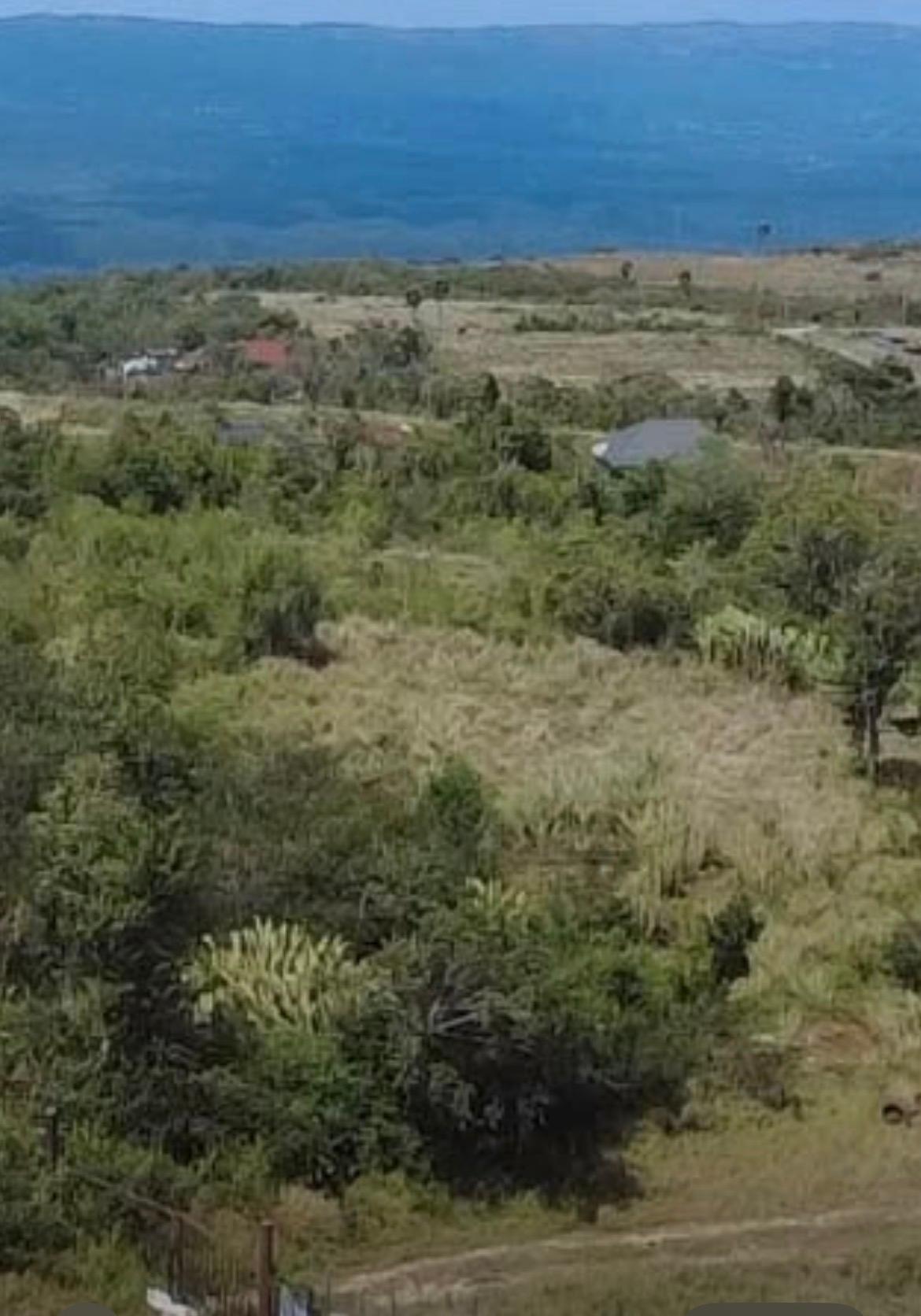 Commercial Lot for Sale Spur Tree