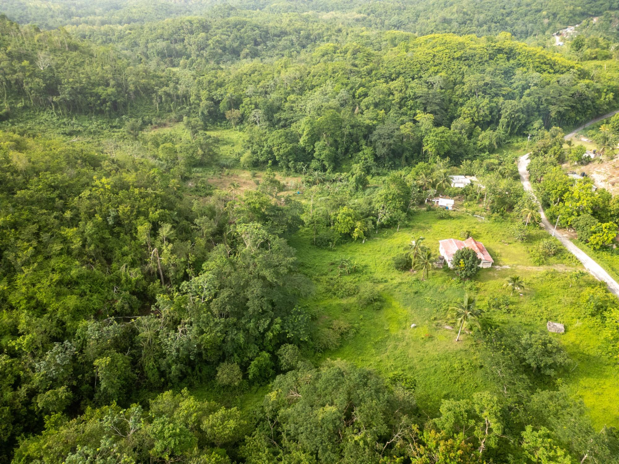 Real Estate Jamaica