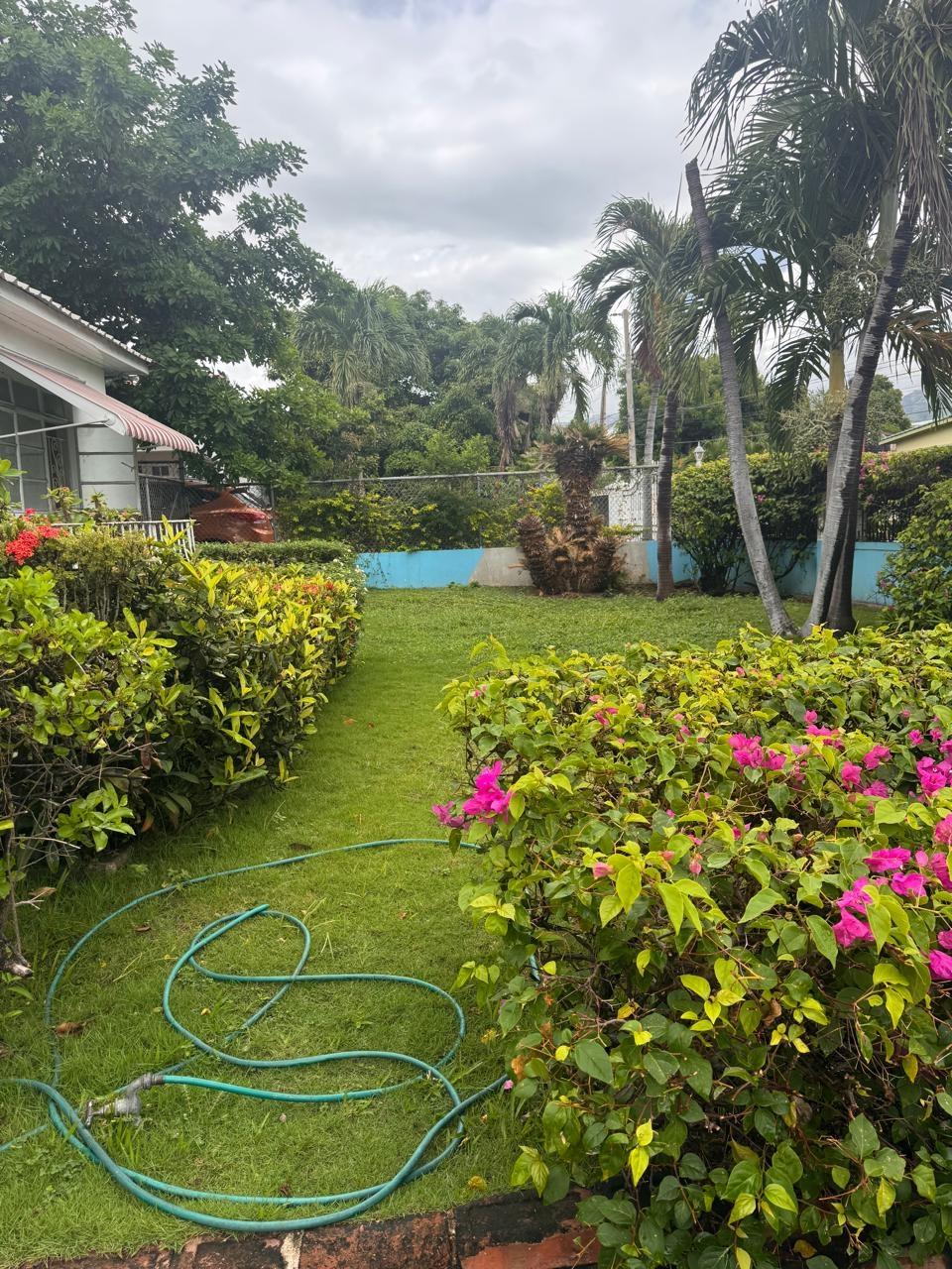 Apartment for Rent Kingston 10