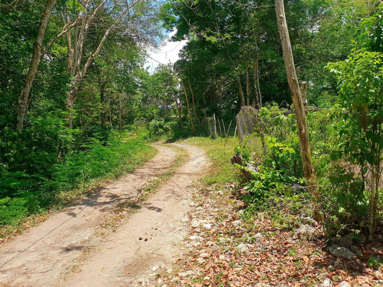 Real Estate Jamaica