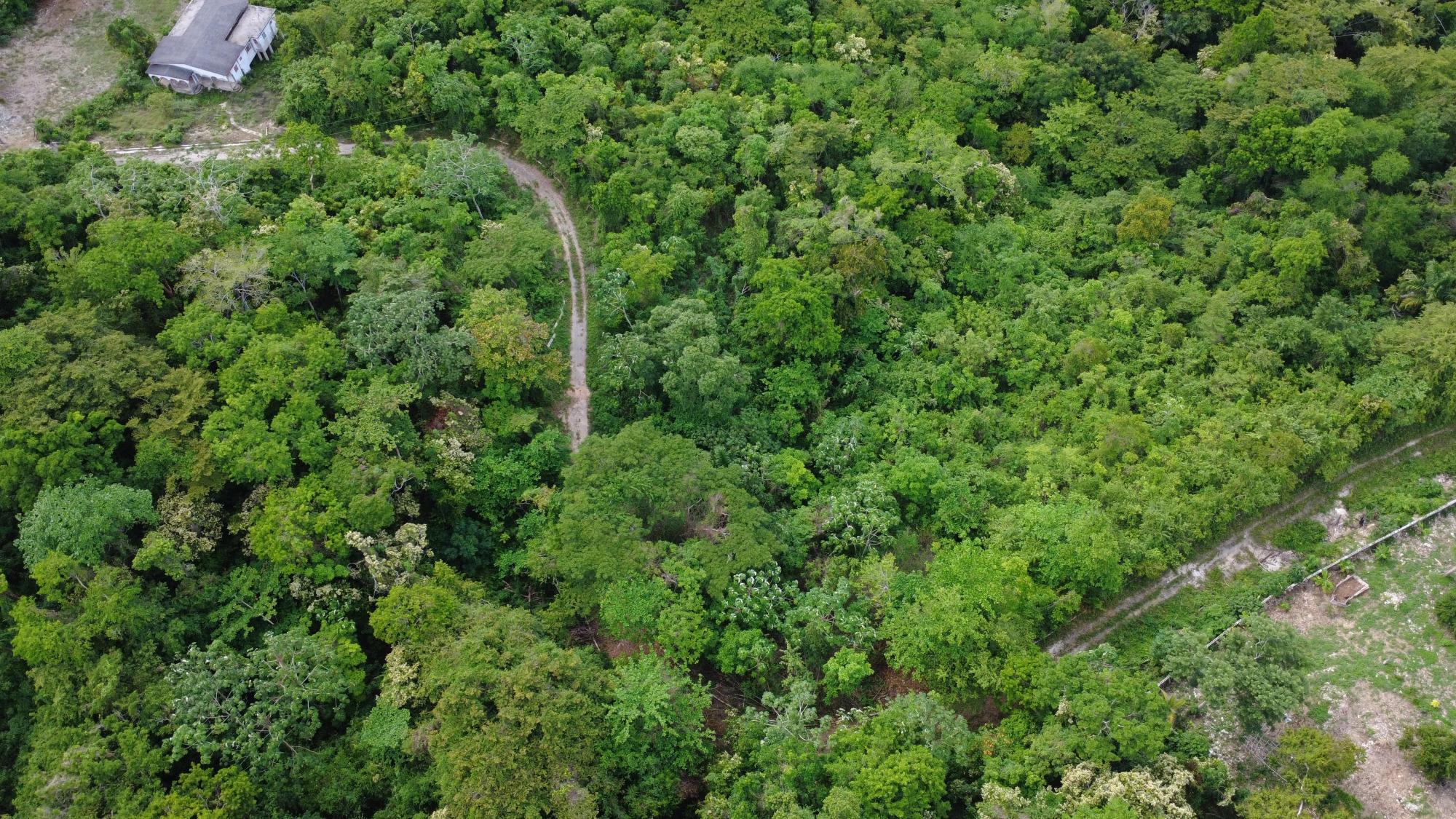 Residential Lot for Sale Runaway Bay