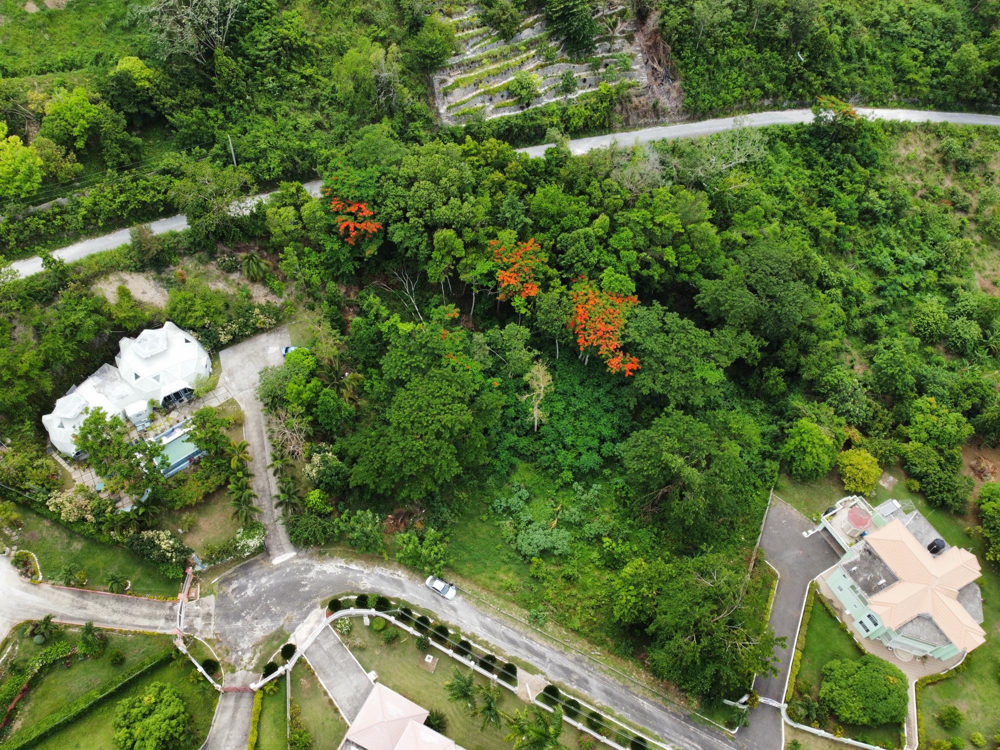 Real Estate Jamaica