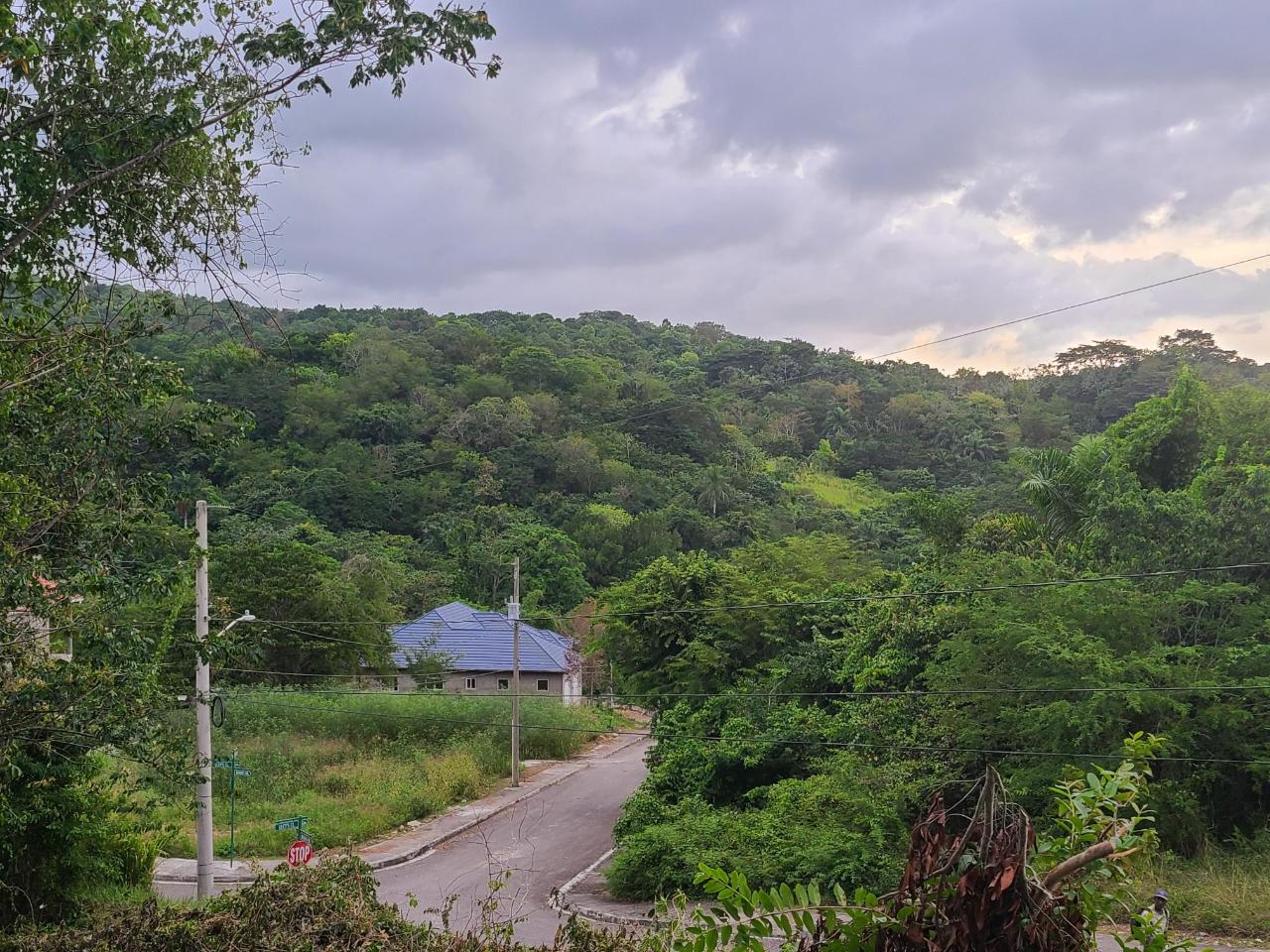 IMMOBILIEN LIMITED - Residential Lot for Sale USD $150000 - St. Ann's Bay  in St. Ann