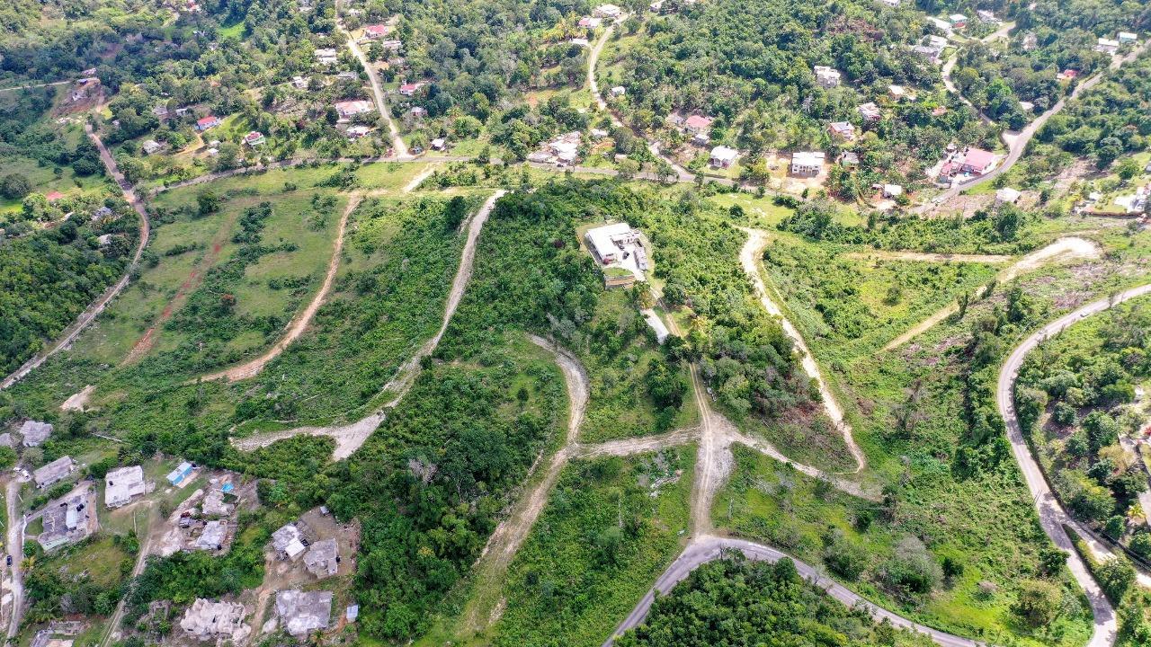Real Estate Jamaica