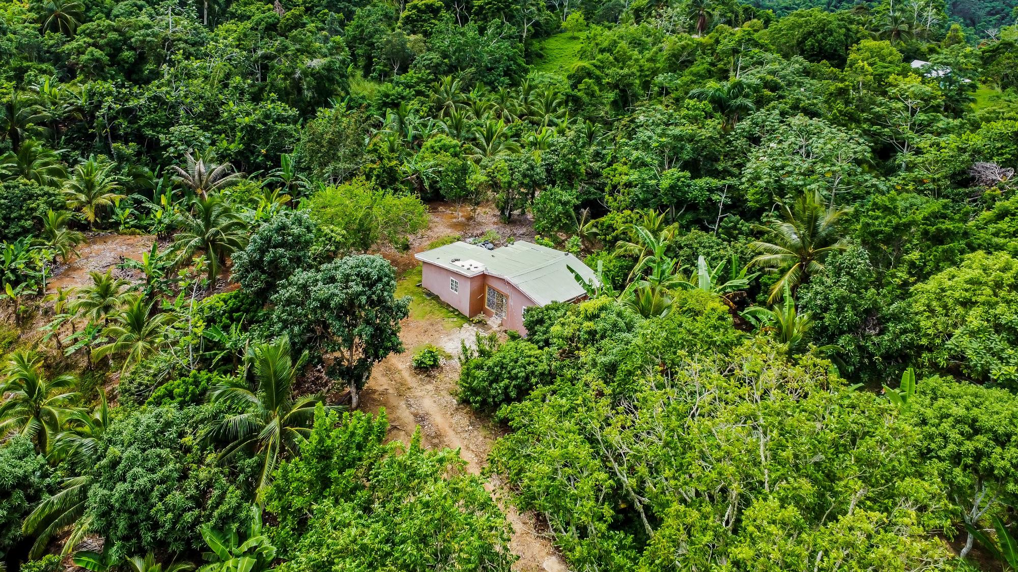 Real Estate Jamaica