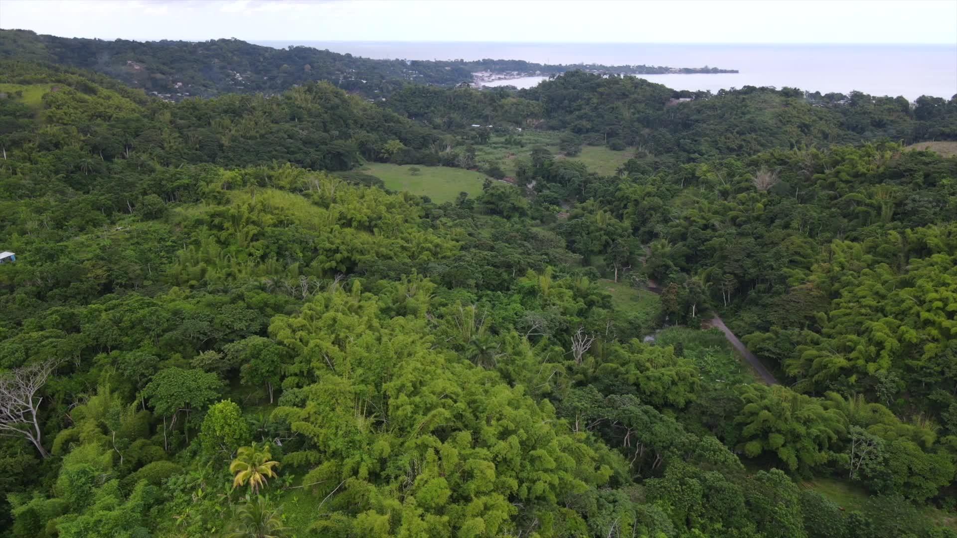 Real Estate Jamaica