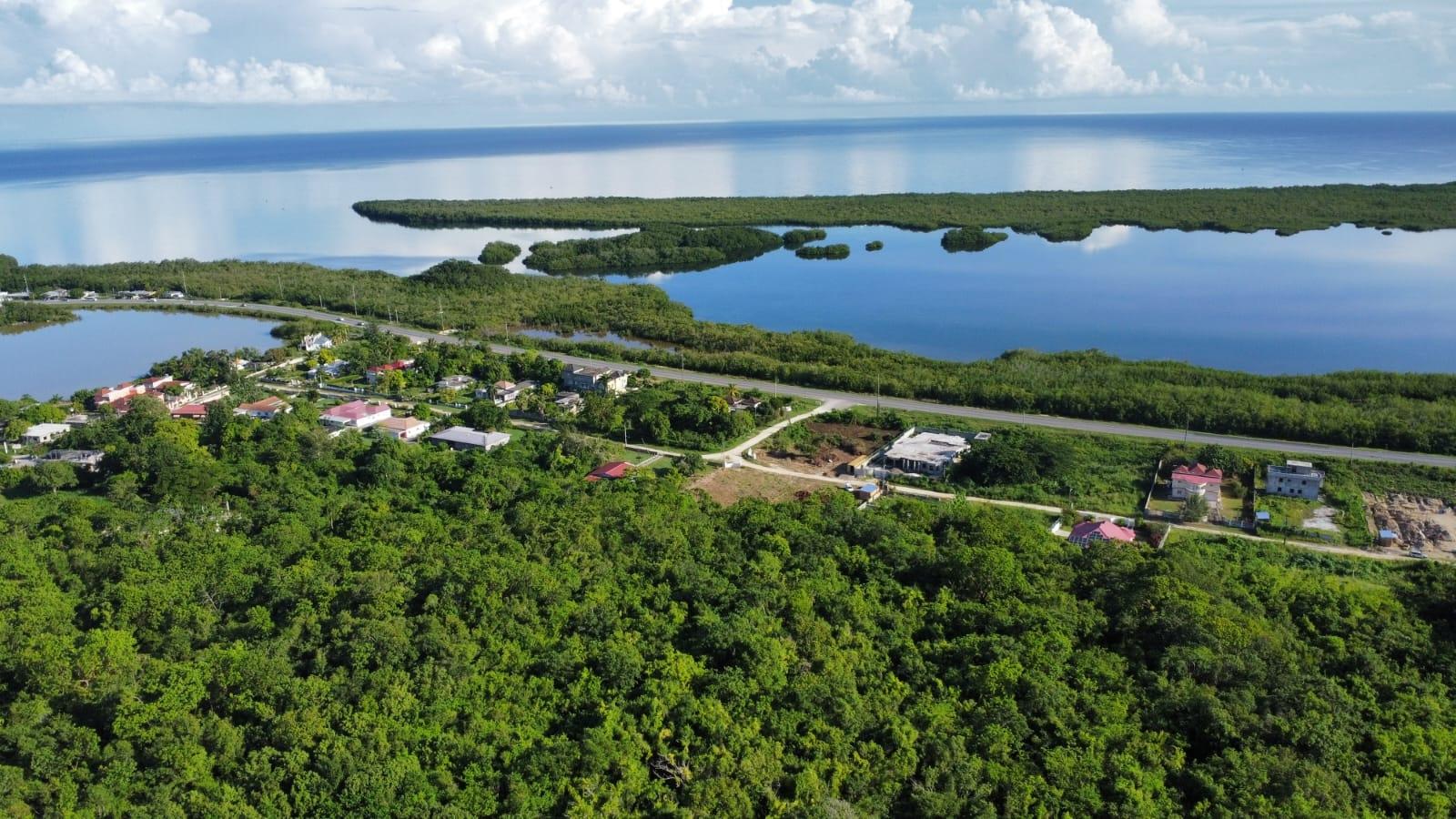 Real Estate Jamaica