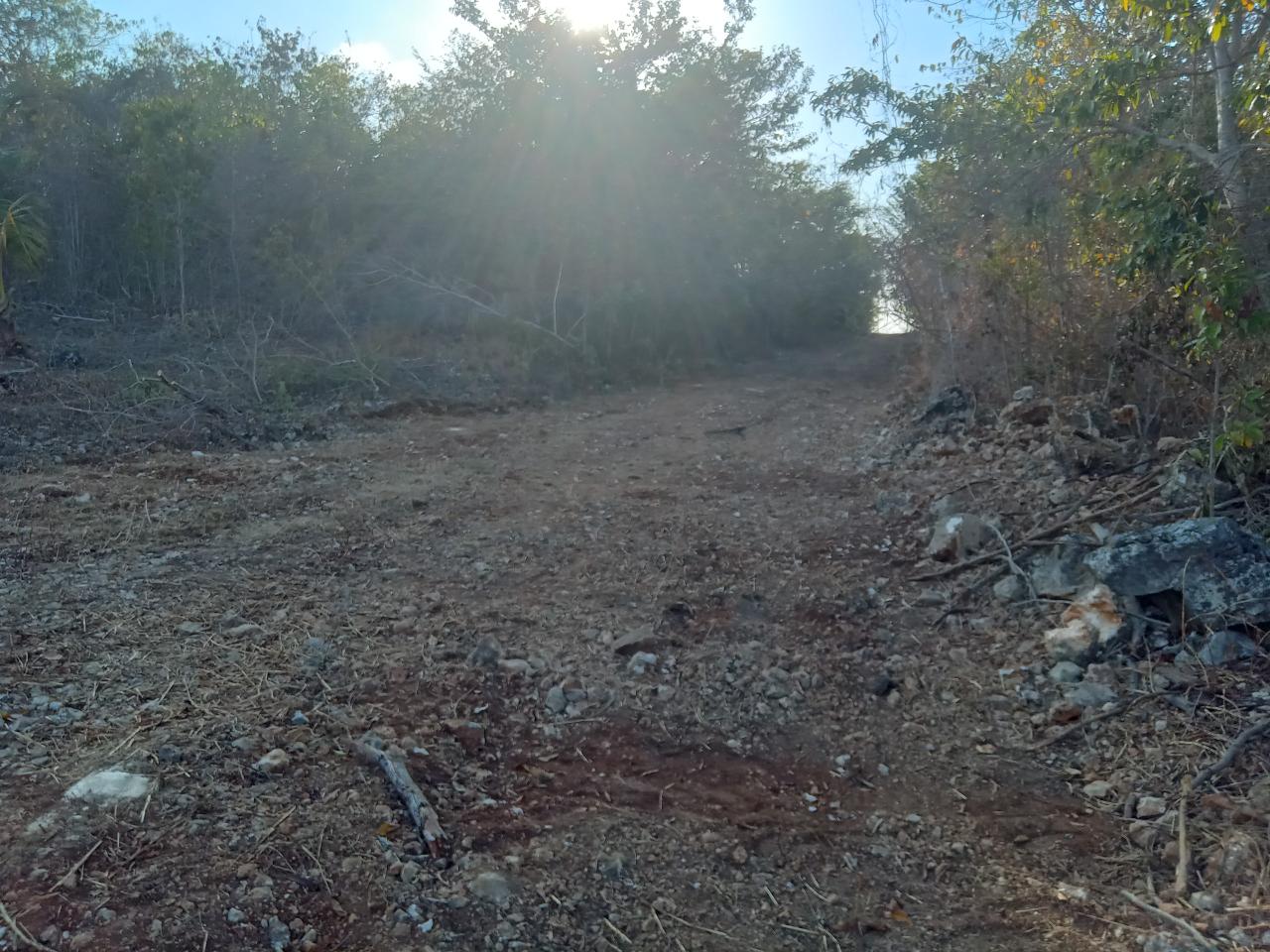 5 UNITY HALL ST. JAMES St. James Montego Bay