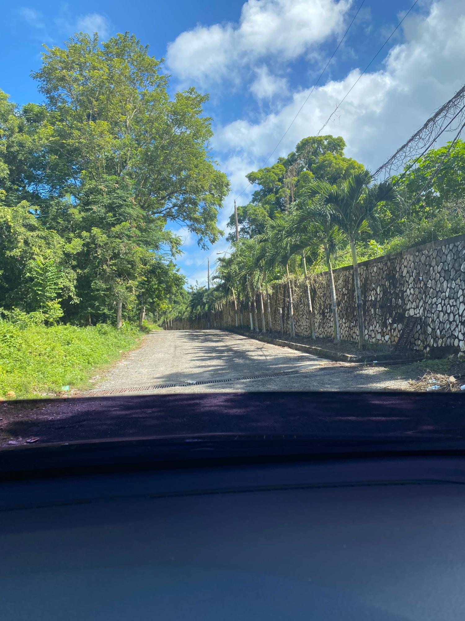 Real Estate Jamaica